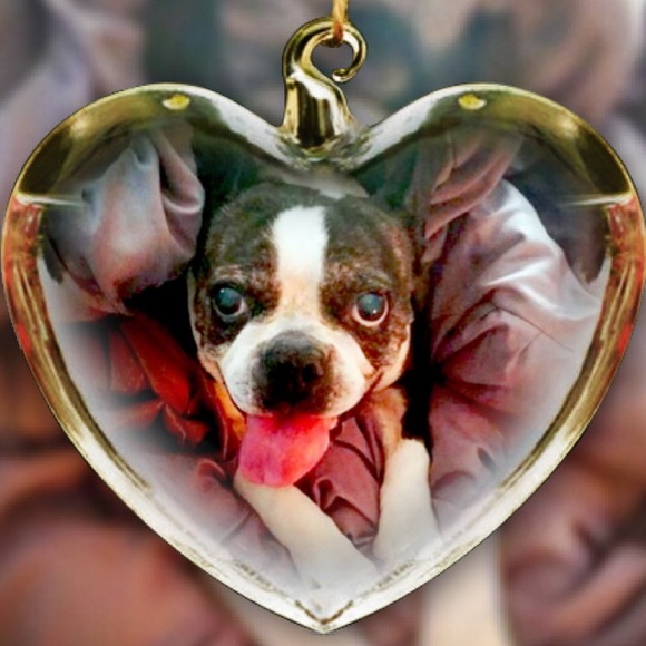 Meet your Posher, Adrianna - Picture 1 of 1